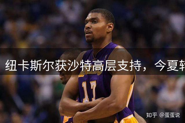 纽卡斯尔获沙特高层支持，今夏转会窗口压哨引援计划出炉